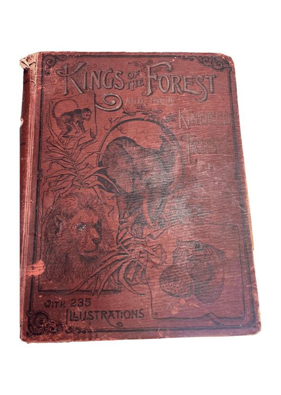Kings of the Forest - 1892 Antique Book