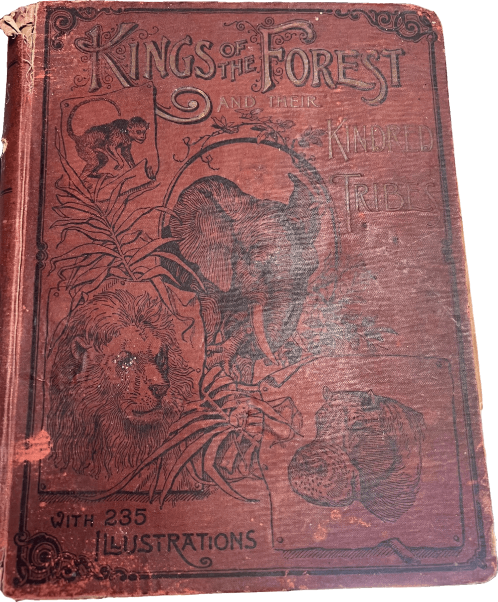 Kings of the Forest - 1892 Antique Book